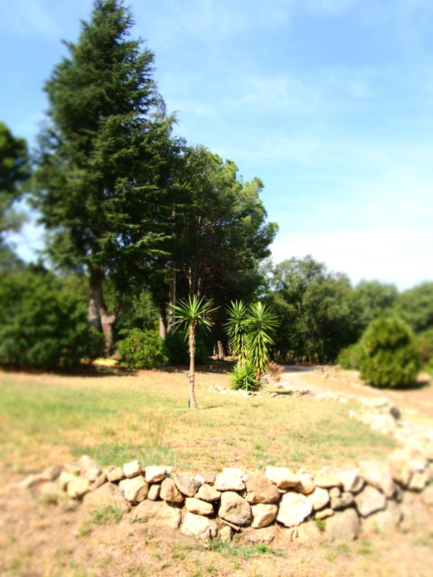 Mas Elancia Argeles-sur-Mer